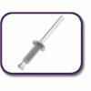 Clinch rivet [171] (171491438122)