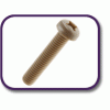 PEEK® pan head screw [180] (180031070409)