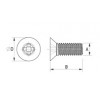 Transparent screw [170-2] (170401200022)